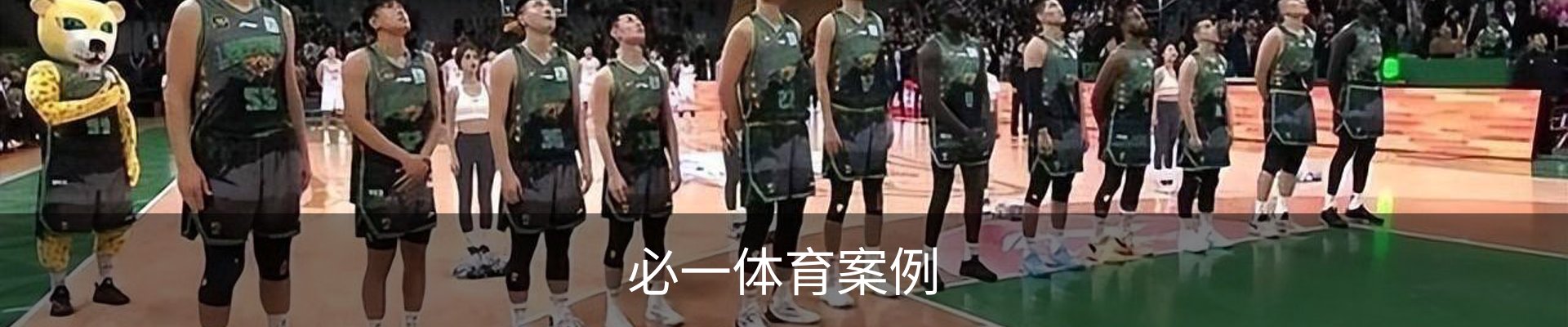 必一体育案例